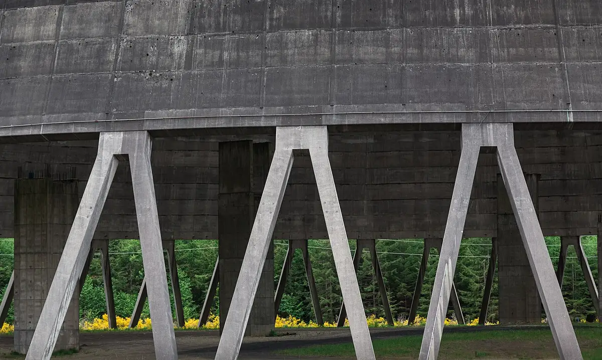 Unfinished Satsop nuclear power plant cooling towers, Elma, Washington